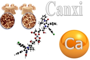 Canxi cần thiết cho sự phát triển của xương và củng cố khung xương trong suốt thời thơ ấu và sau này