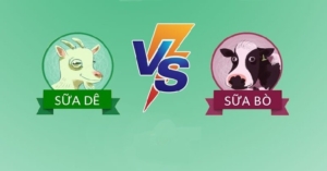 sữa dê sữa bò